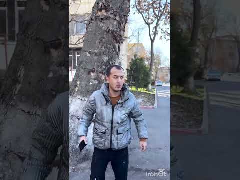 #рекомендации #rek #qodirtolipov #shortsvideo #respectshorts