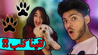 استضفنا كلب بيتنا || نياره اكلته ايس كريم !!