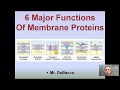 Membrane Proteins and Their Functions