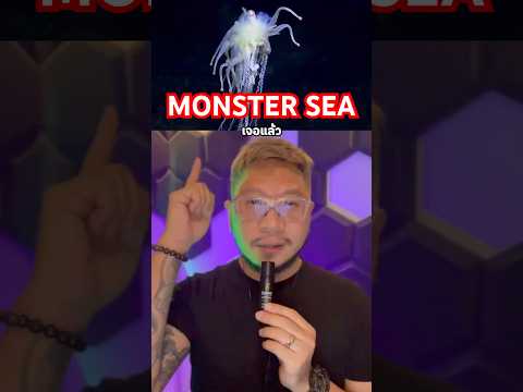 MonsterSea‼️สัตว์ลึกลับใต้ทะเล‼️ first นักพากย์ ตั่วเฮีย voice artist MonsterSea‼️สัตว์ลึกลับใต้ทะเล‼️