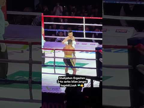 Shohjahon Ergashev 2-ta zarba bilan jangni tugatdi,Yangi Jang 🇺🇿 #shorts #uzb #uzbekistan #boxing