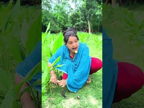 #reels #foryou #funny #shortvideo #india