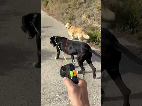 No voy a poner descripción en este vídeo, porque viéndolo queda más que claro todo #correadoble