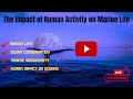 Threats and Importance of Marine Ecosystems
