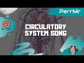 Understanding the Circulatory System