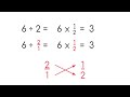 Dividing Whole Numbers by Fractions Explained