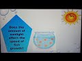 Variables and Experimental Design Concepts