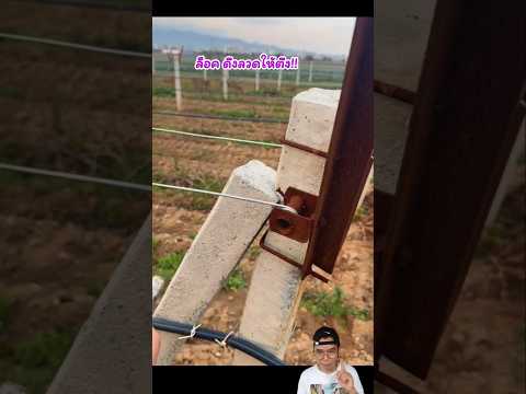 อุปกรณ์ดึงลวดไร่องุ่น #farm #ไร่องุ่น #อุปกรณ์เกษตร