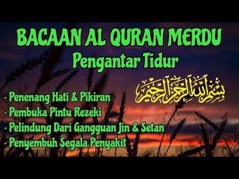 #181 Al Quran Merdu Pengantar Tidur, Surat Ad Dukhan (Alaa Aqel), Penenang Hati & Pikiran