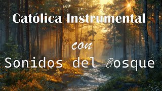 “Oración en el Bosque: Música Católica Instrumental con Sonidos de la Naturaleza”para rezar