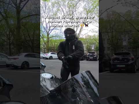 Biker haben ein 🫶 für Hunde ! #bike #automobile #düsseldorf #bikelife #bmw #funny #comedy #biker