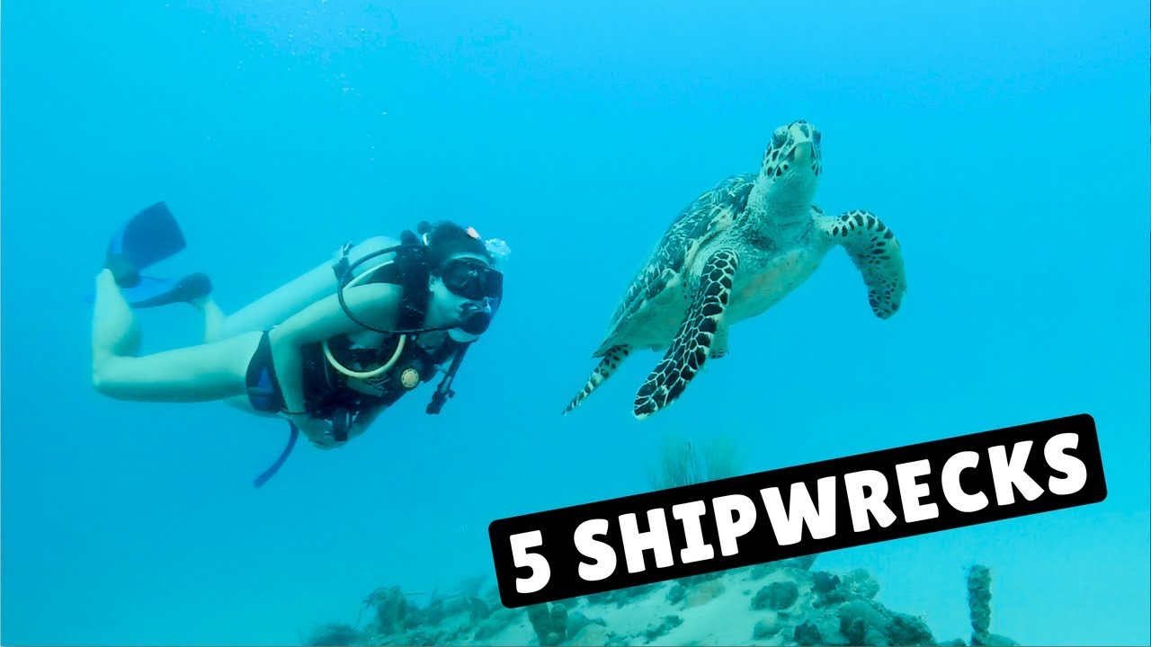 UNLIMITED SCUBA DIVING! - Barbados
