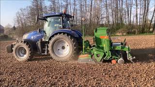 Setí hořčice s New Holland T6- 175 (Zzn Polabí)