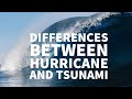 Natural Disasters: Hurricanes and Tsunamis
