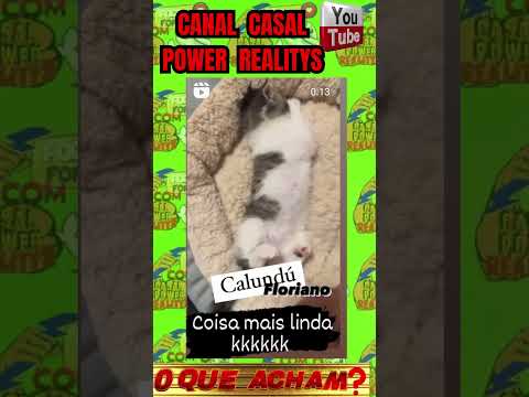 GATINHO TOMANDO MAMADEIRA  #casalpowerrealitys  #amoraosanimais