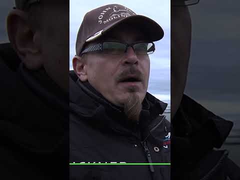 Landtechnik Extrem - Maschinen am Limit #shorts #doku #landwirtschaft #landmaschinen #bauern
