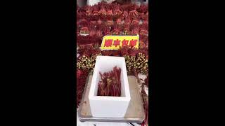 Shyo Video 山药视频