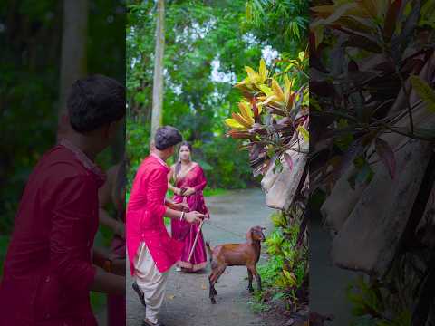 জামাইষষ্ঠীতে ছাগল চুরি | Bengali Adda | #funny #bengalishorts #comedy #ytshort #bengali