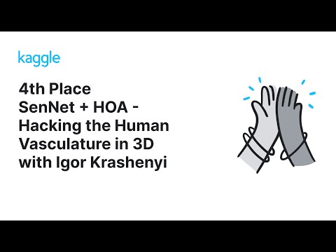 Kaggle Solution Walkthroughs: SenNet + HOA - Hacking the Human Vasculature in 3D with Igor Krashenyi