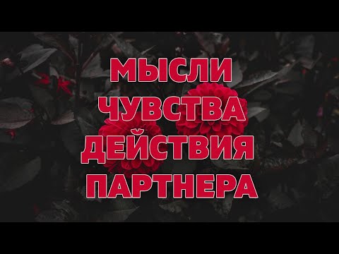 МЫСЛИ ЧУВСТВА ДЕЙСТВИЯ МУЖЧИНЫ онлайн гадание расклад Таро на отношения