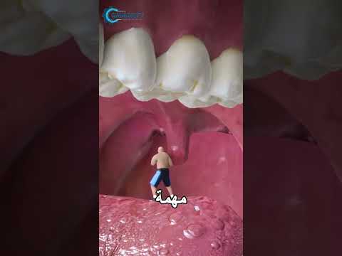 ู
ุง ูุงุฆุฏุฉ ุงูููุงุฉ ูู ุญูููุ ๐ค ุงูุชุดู ุฏูุฑูุง ุงูู
ุฏูุด! ๐