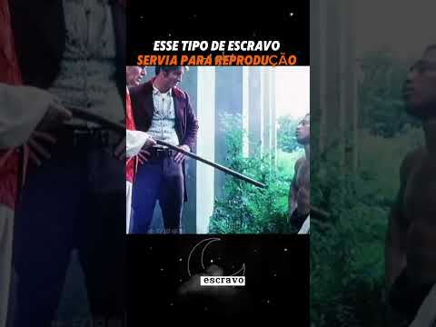 ELES QUERIAM OS ESCRAVOS PRA REPRODUÇÃO, UM PEDAÇO DA HISTÓRIA