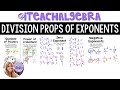Exploring Division Properties of Exponents