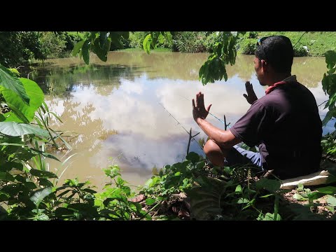MANCING KALI INI DI JAMIN PUAS DAN MALAS PULANG