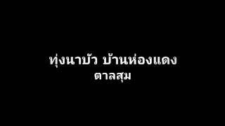 ทุ่งนาบัว อำเภอตาลสุม จังหวัดอุบลราชธานี