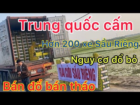 Gần 1 ngàn anh em tài xế không được về nhà ăn Tết