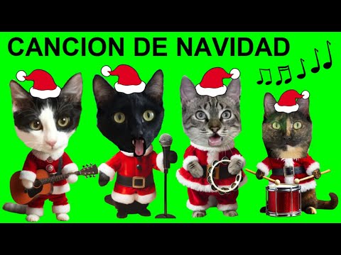 CANCIONES DE NAVIDAD PERO CON LOS GATOS YOUTUBERS FAMOSOS Luna y Estrella en español