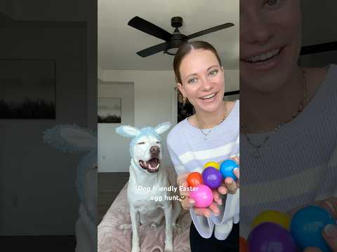 Can Yuki find all the Easter eggs?🥚 🪺🐣#dogshorts #pup #easter #eastereggs #pets #dog #cute #puppy