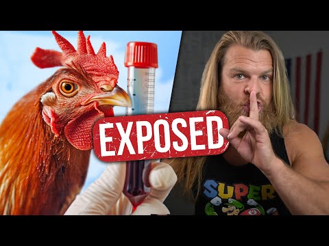 Chicken Coops are RUINING The Farming Industry!