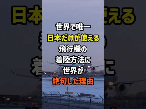 ㊗️200万再生！世界で唯一日本だけが使える飛行機の着陸方法に世界が絶句した理由