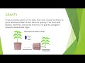 Exploring Plant Responses to Gravity and Heat