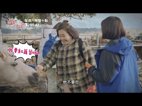 《老少女奇遇記 2》日本南阿蘇餵馬趣！ 姊姊們的快樂藏不住啦｜漏網鏡頭EP4