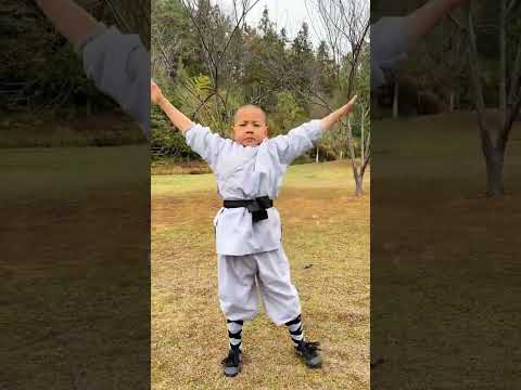 Kung Fu Dragon Sage and Great Sage are practicing Shaolin Five-Step Boxing outdoors#Shaoli