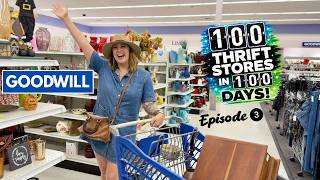 HOW MUCH PROFIT CAN WE MAKE? 💰 100 Thrift Stores in 100 Days | Ep. 3 | Goodwill Shopping | Reselling