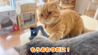 甘えにきた息子を一度は突き放すものの...