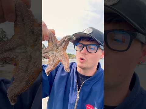 Rescuing Real Life Patrick Star! #shorts