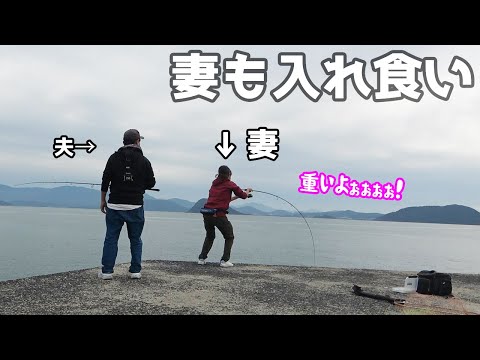 夫婦で防波堤に行ってみたら魚が飛んでた爆釣だった。