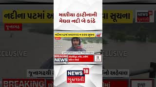 Junagadh Rain | માળીયા હાટીનાની મેઘલ નદી બે કાંઠે | Gujarat Rain | Weather | Monsoon