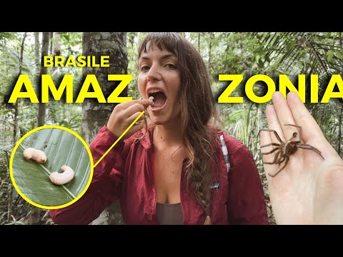 AMAZZONIA: NUOTARE CON LE ANACONDE E DELFINI ROSA | BRASILE