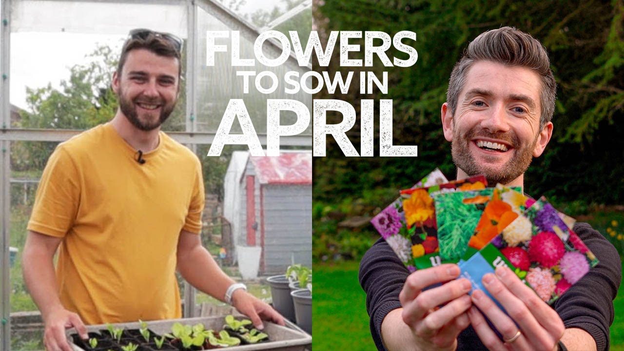 What Flowers To Sow in April with @Naturally JB