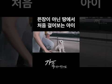 감동이란 이런 게 아닐까요 #가족이라면서요
