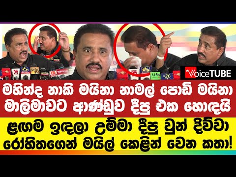 ඉස්සර ආච්චි ටොක් ටොක් දැන් ආච්චිලා ටික්ටොක්! මයිල් කෙළින් වෙන උත්තර දෙන්නේ | මහින්ද නාකි මයිනා !