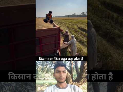 #TIMELAPSE: START to FINISH Alone BUILD LOG Cabin (Wooden House), How To Build Wooden Cabin, Surviva