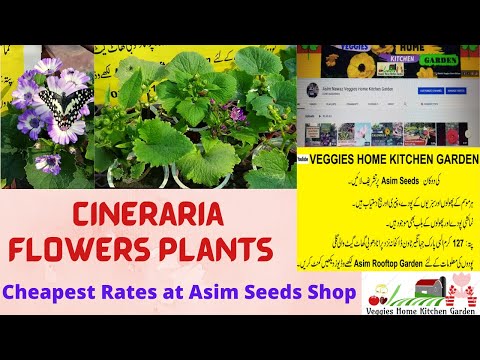 Kitchen Garden Seeds Coupon - 122021