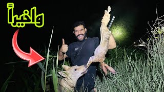 البحث عن الأرنب المتوحش 😱??