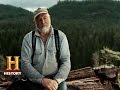 Bear Encounters and Safety in the Woods